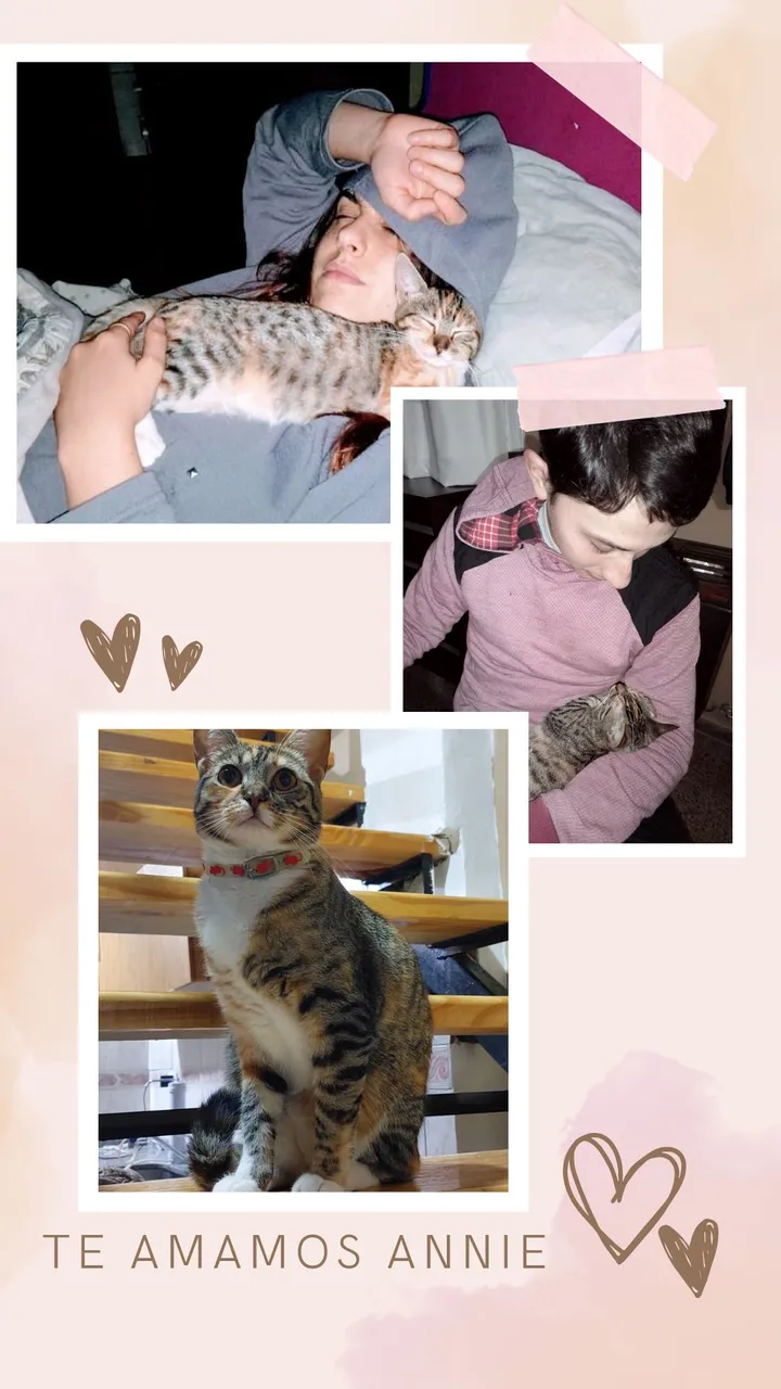 Historia para instagram collage femenino beige marrón.jpg