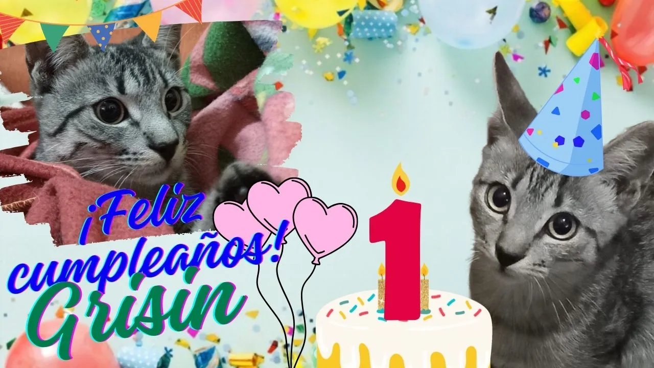 ¡Feliz cumpleaños!.jpg