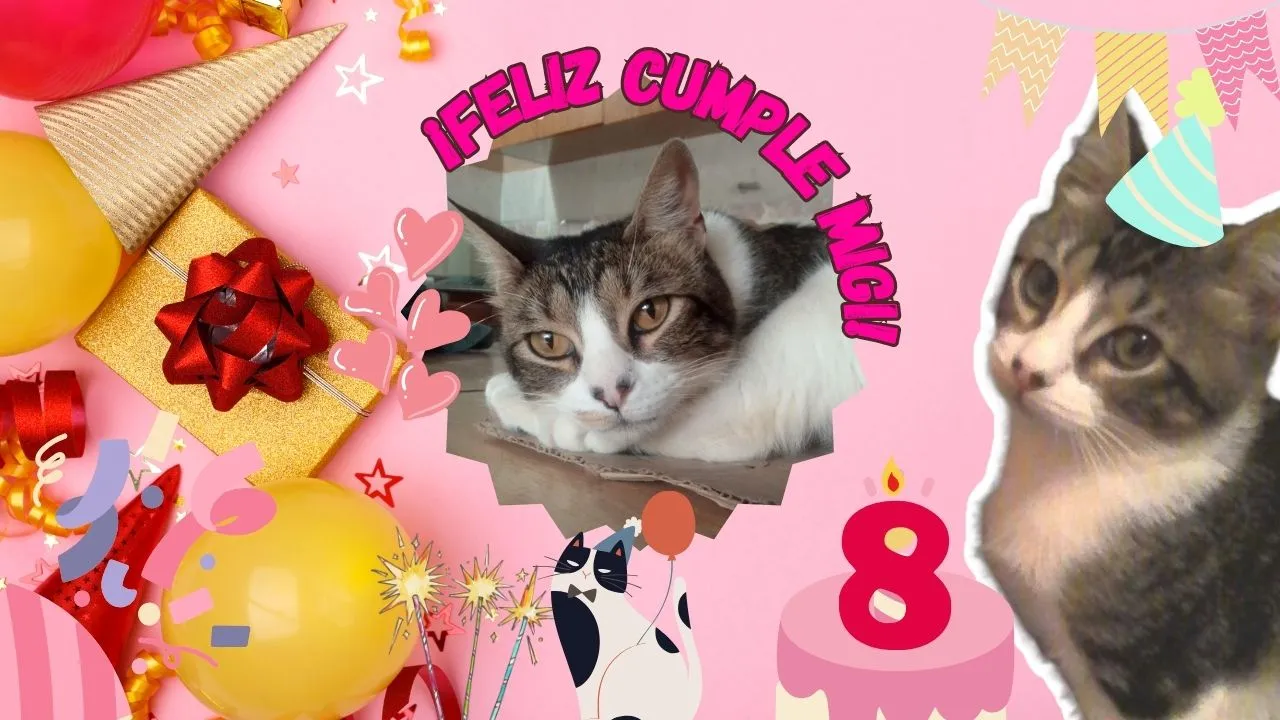 Feliz cumple Migi.jpg