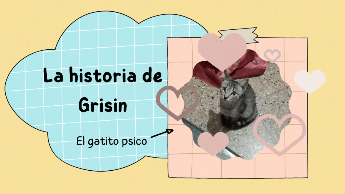 video divertido para youtube tipo collage amarillo celeste y beige .gif