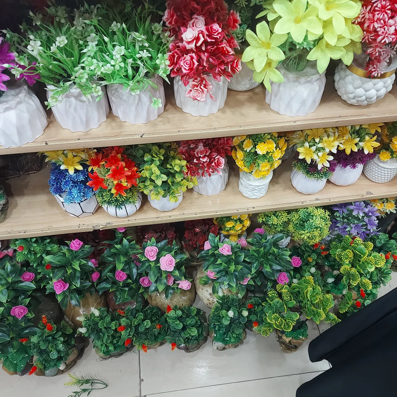 IMG_0690.jpeg