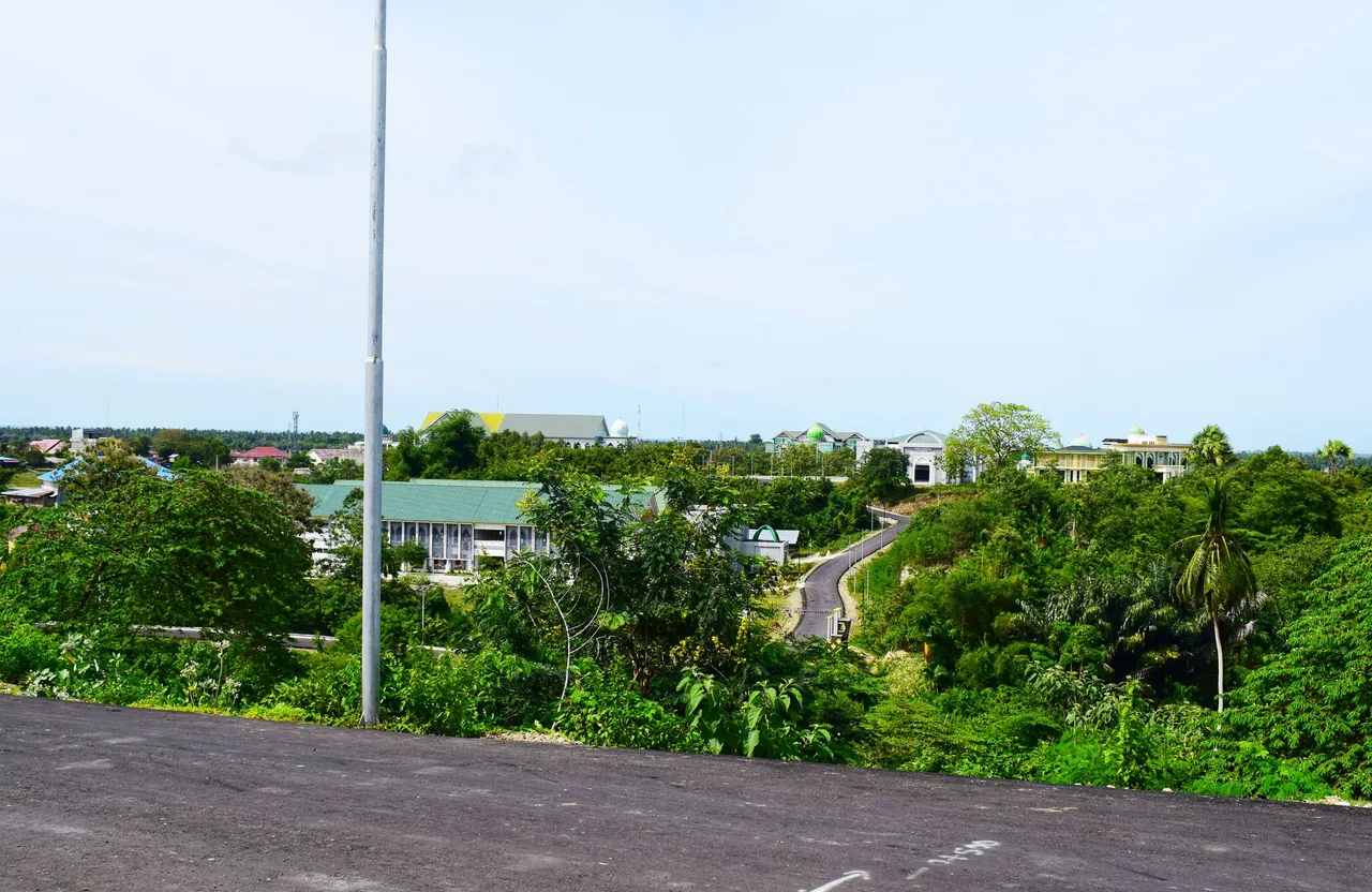 DSC_5749-01.jpeg