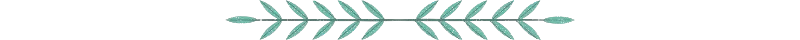 Divider_20241120_172106_0000-removebg-preview.png