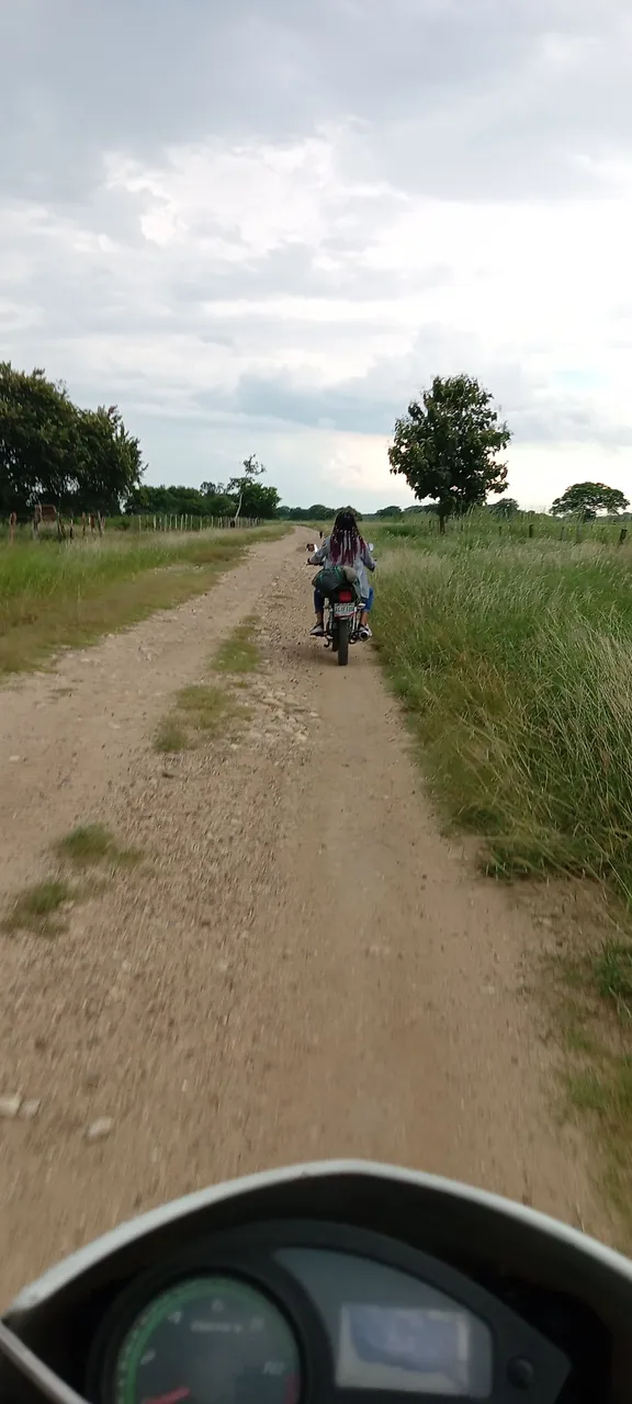 camino