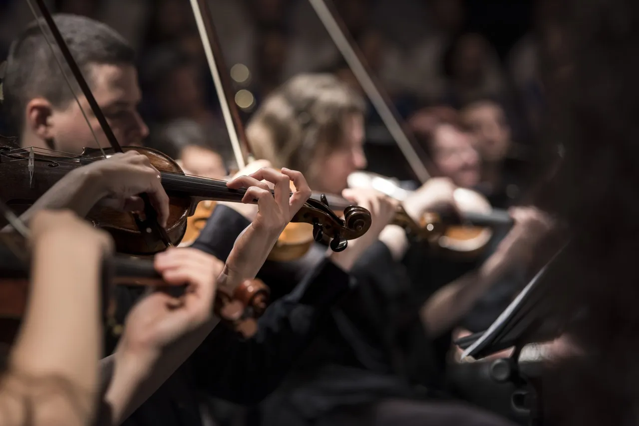 violins-1838390.jpg