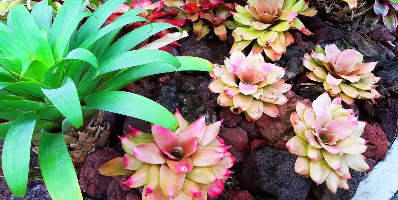 20191208_175942.jpg