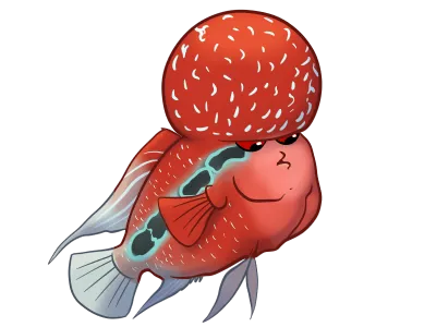 flowerhorn - Copy.png