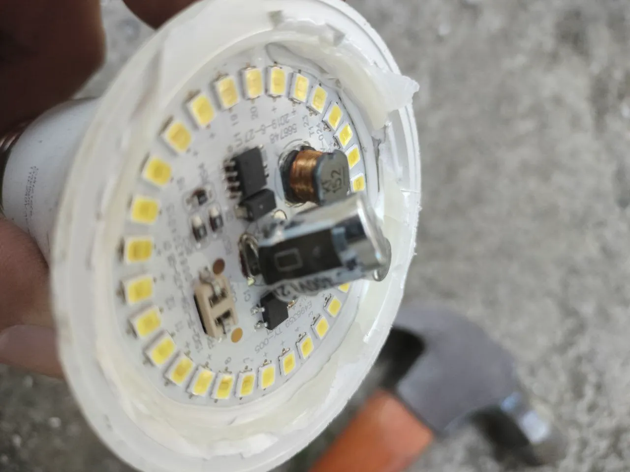 Bulb (3).jpg