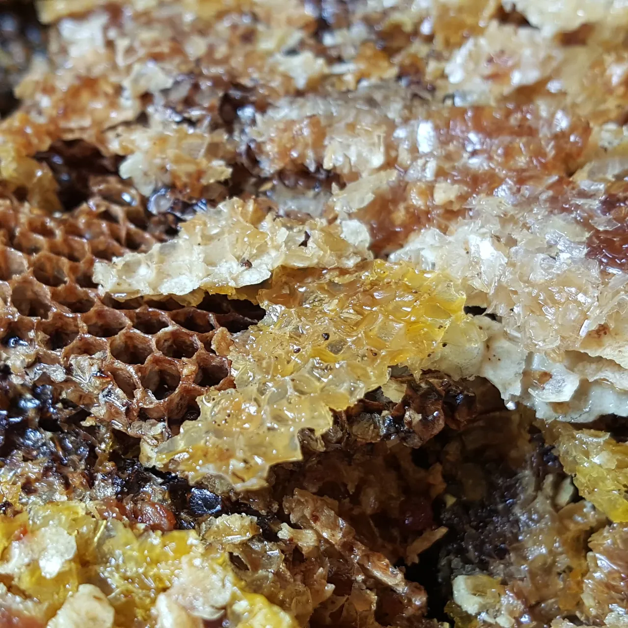 Beeswax6.jpg