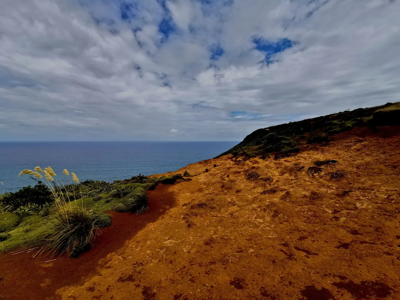 Te Henga7.jpg
