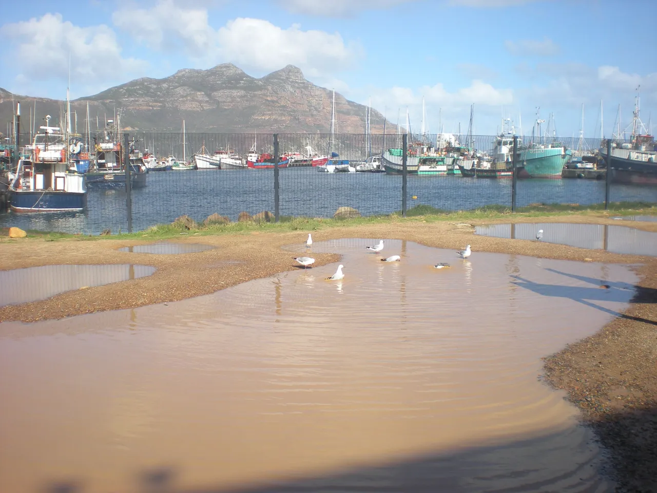 houtbay.JPG