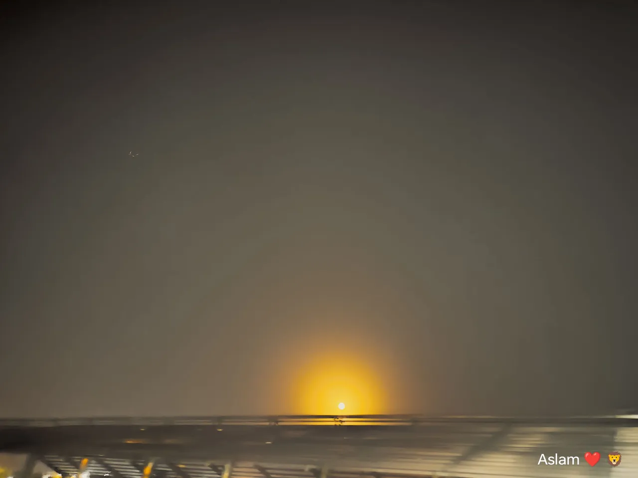 1000026252.jpg