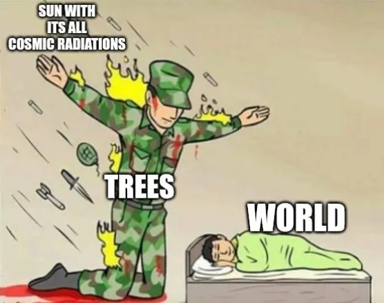 1000316225.jpg