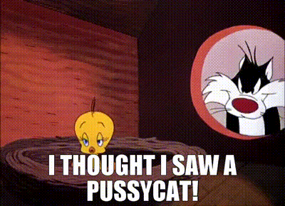 scat.gif