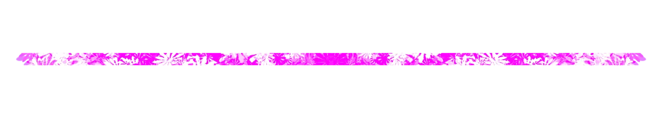 separador flores acuarelas 1.png