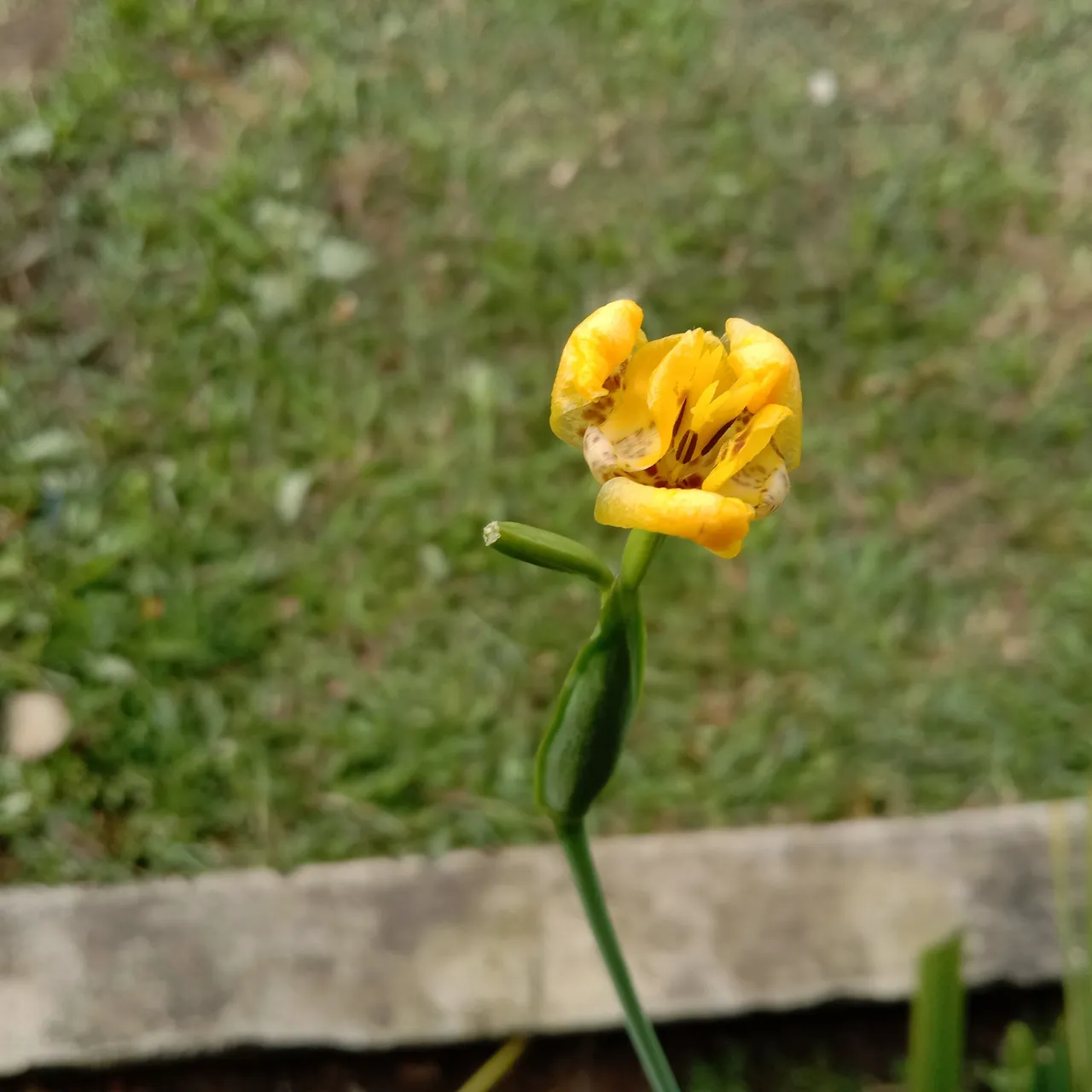 IMG_20220314_180404.jpg