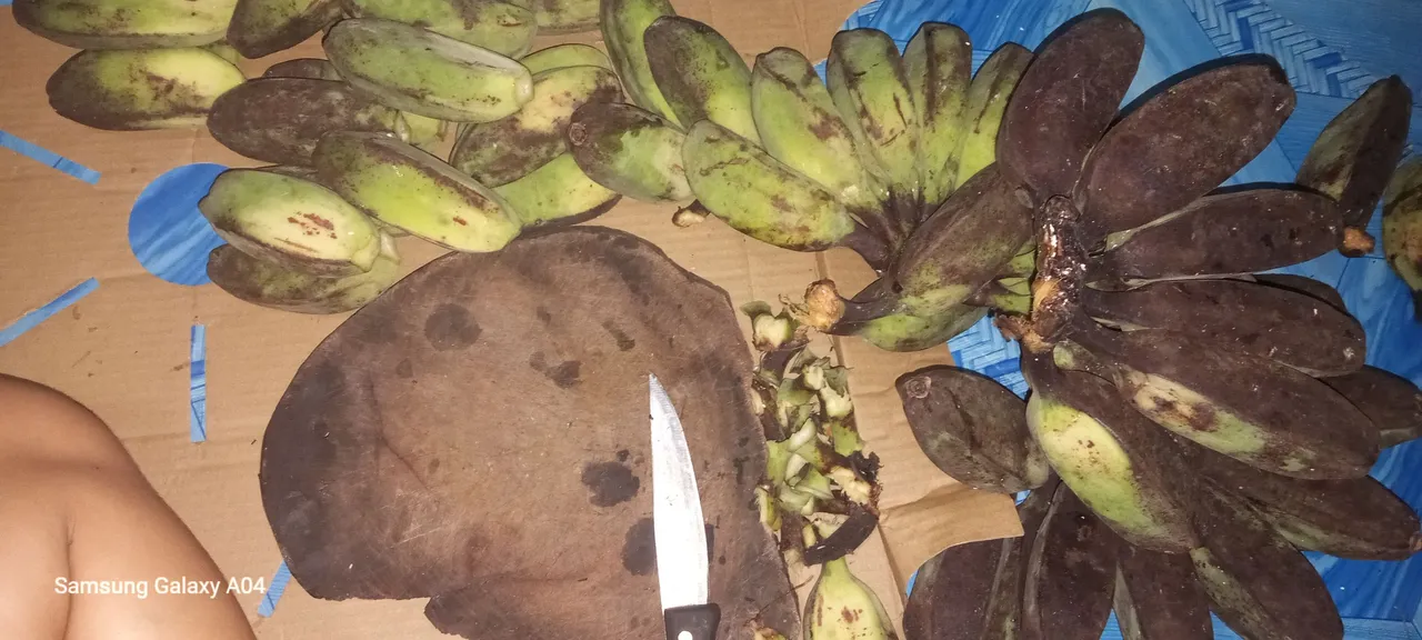 saging gikuhaan ug lusok.jpg