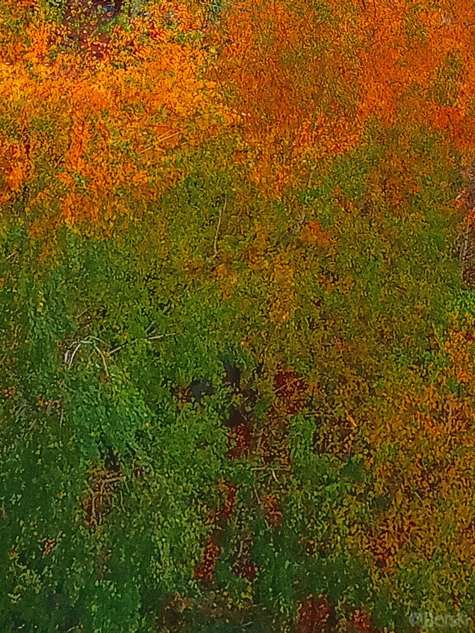 1sdfIMG_20221023_145540_074-01.png