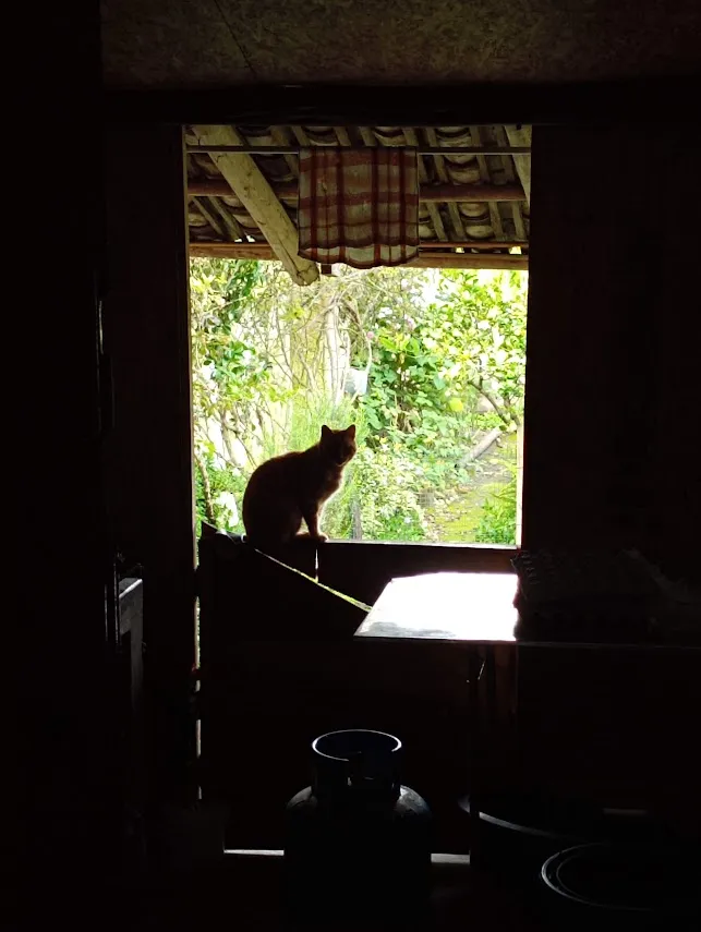 There's light at the end of the land math! And a cat. Always a cat. He's freaking everywhere.