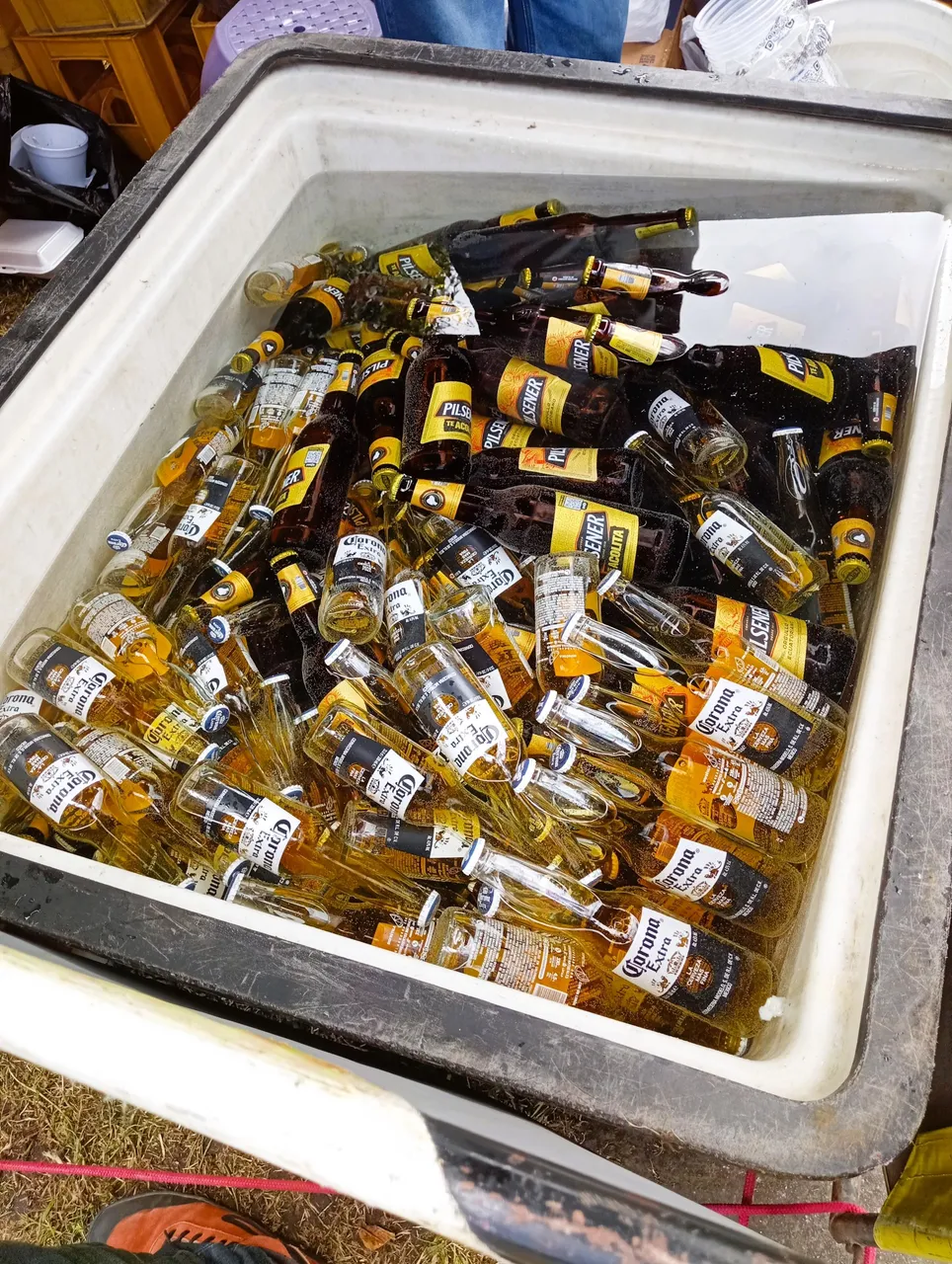Huge cooler full of beer on the way to the Hacienda. The Pilsneer bottles are 660ml, the Coronas 330ml.