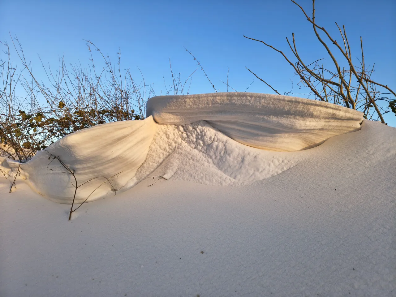 The wind had formed the most wonderful snow sculptures.