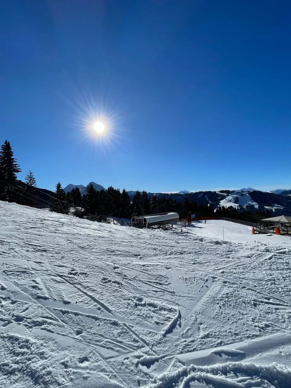 IMG_4344.jpeg