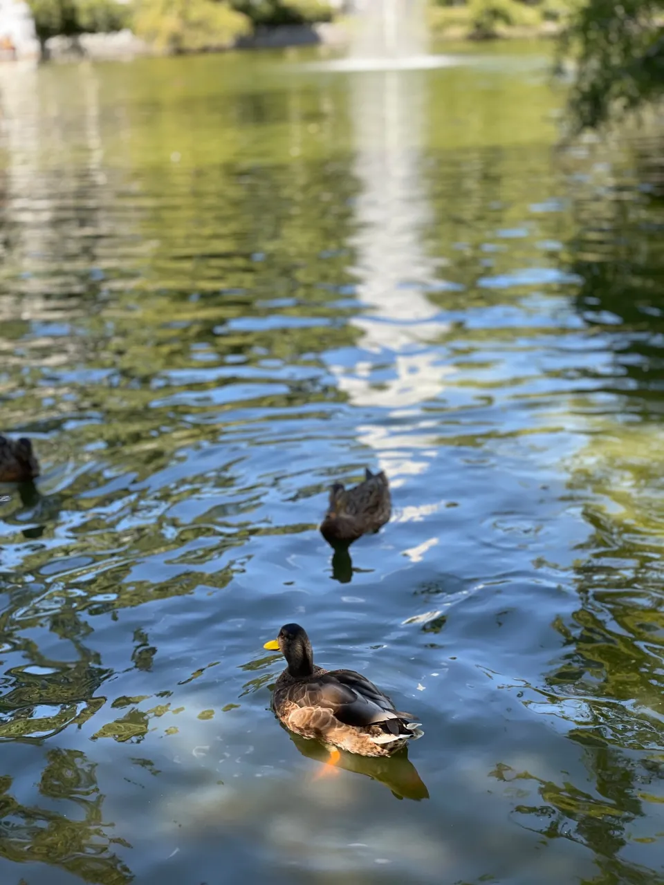 IMG_2073.jpeg