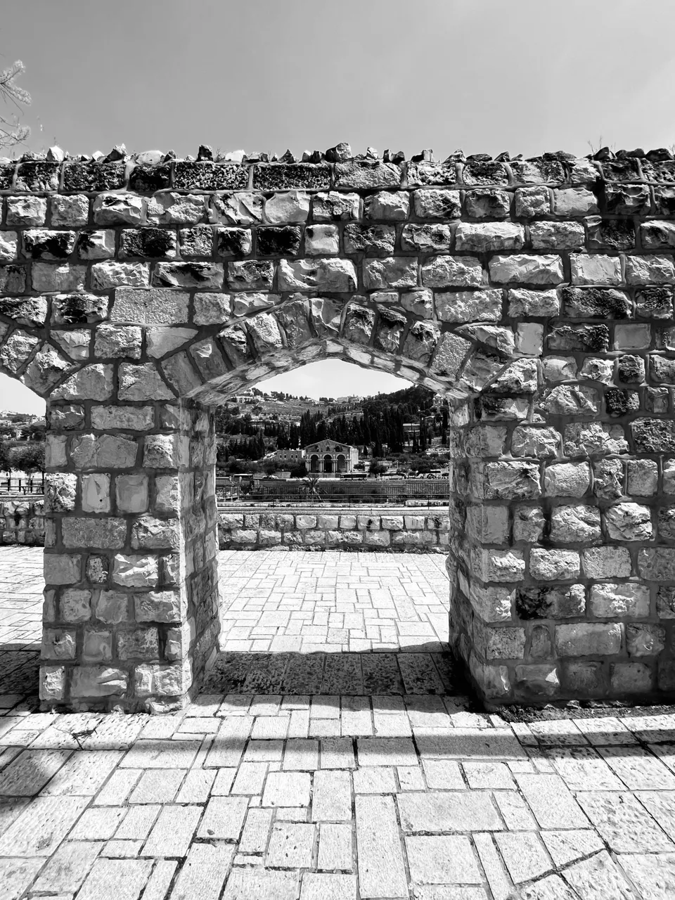 E084ADE9-91DC-42B1-9221-1656D84D03C3.jpeg