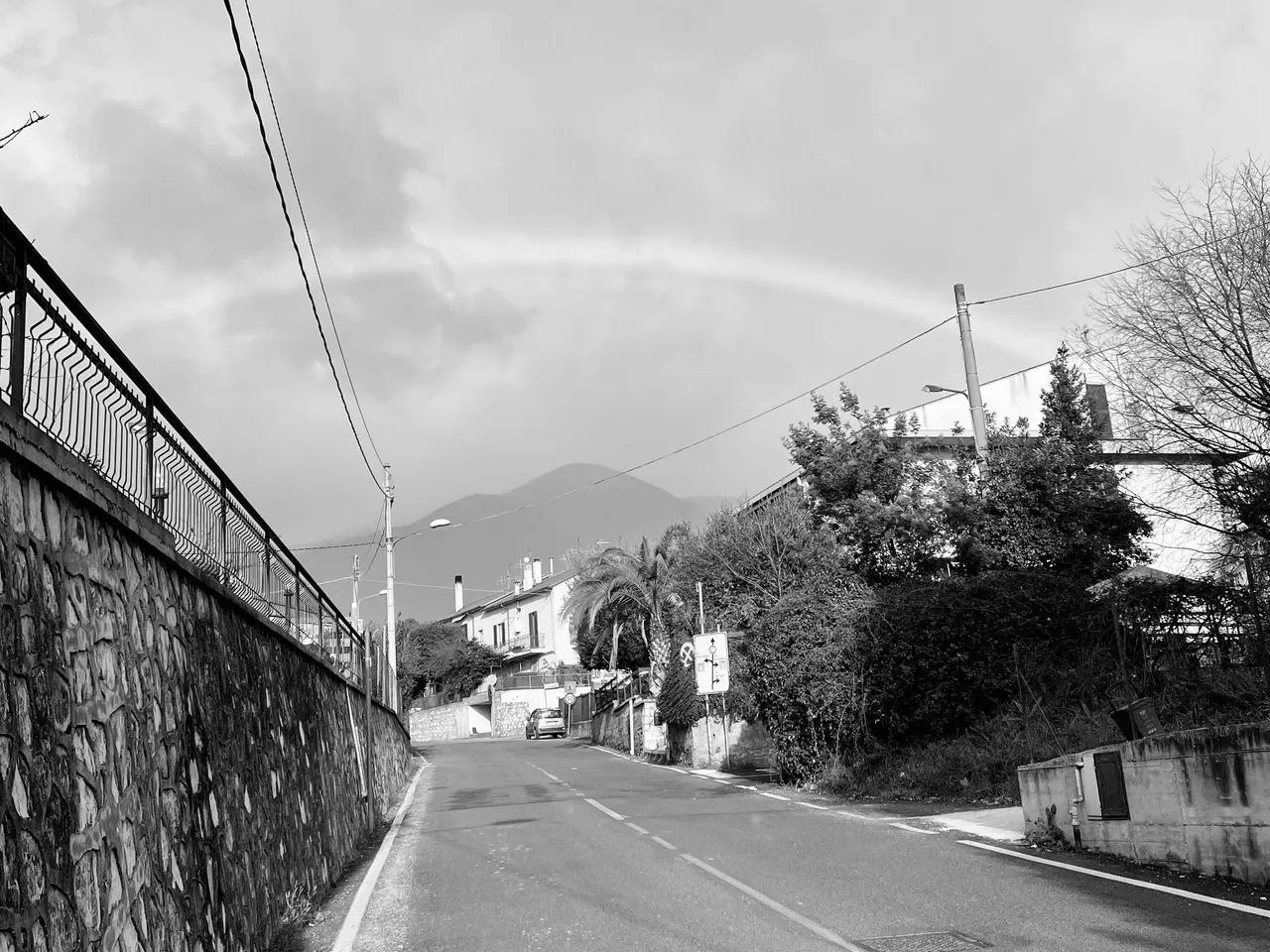 IMG_1695.jpeg