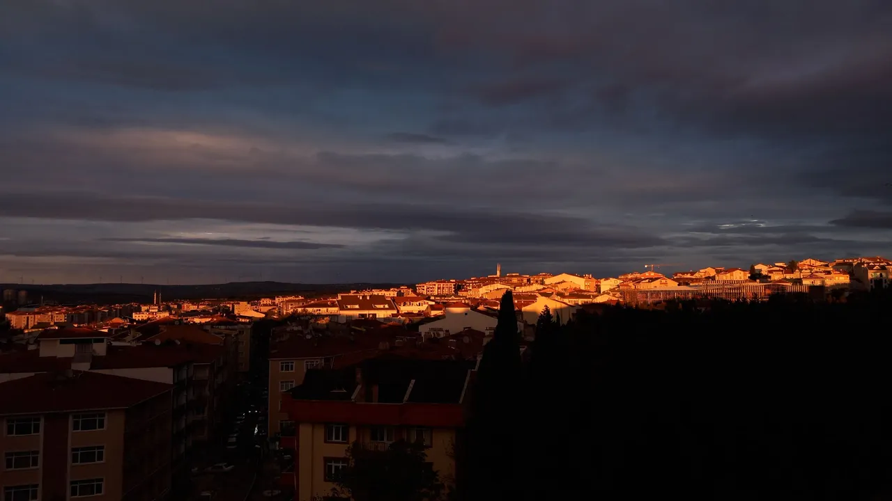 20231119_173120.jpg