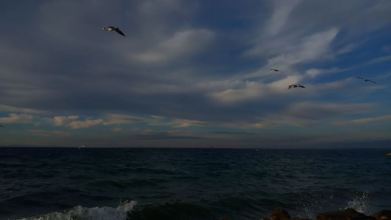 20231115_090503.jpg