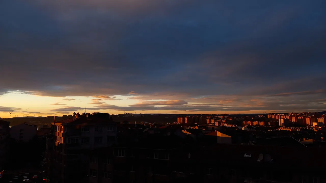 20231119_173144.jpg
