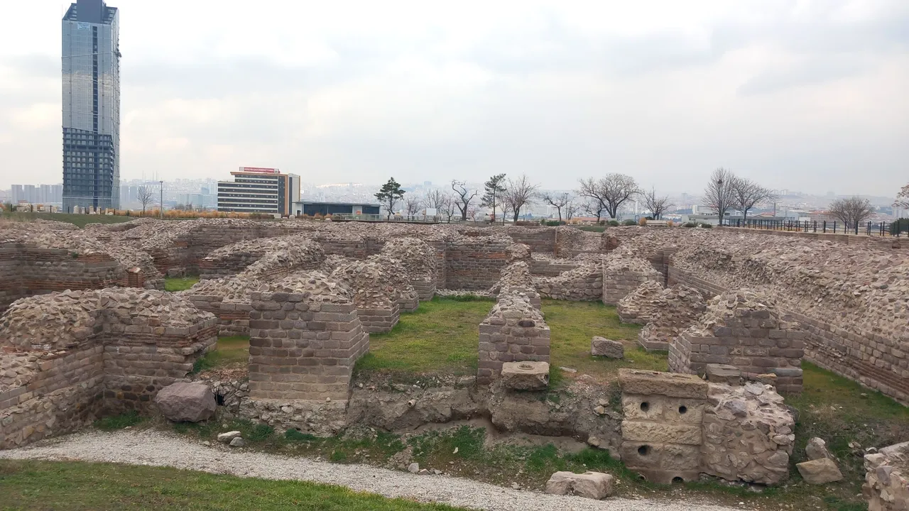 20240220_130310.jpg