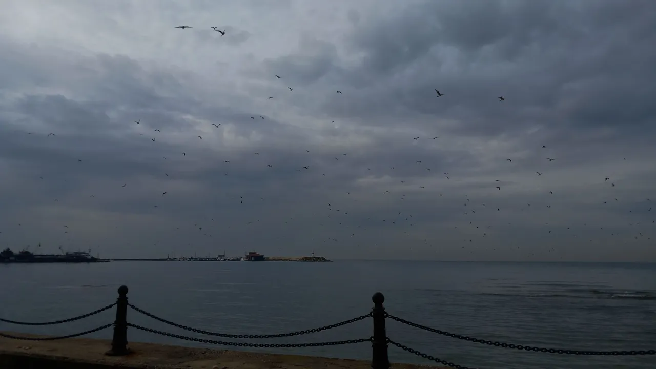 20240327_084426.jpg