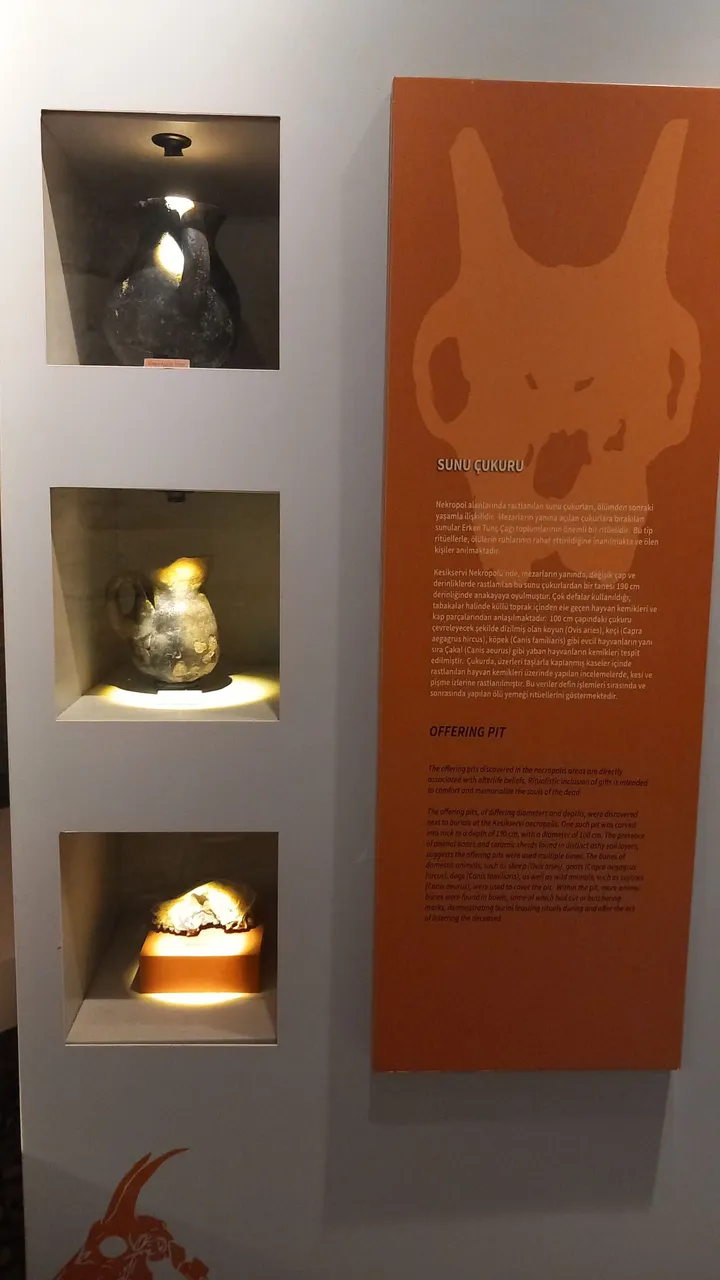 20240125_164510.jpg