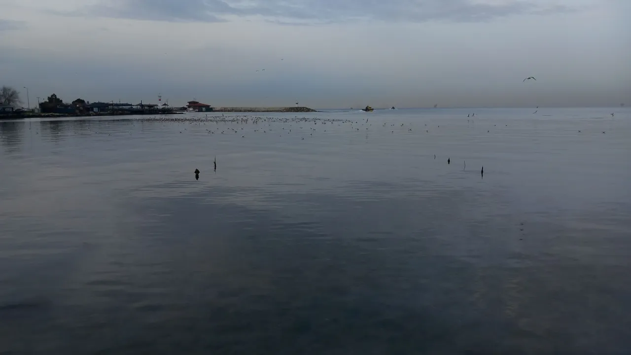 20240327_075202.jpg