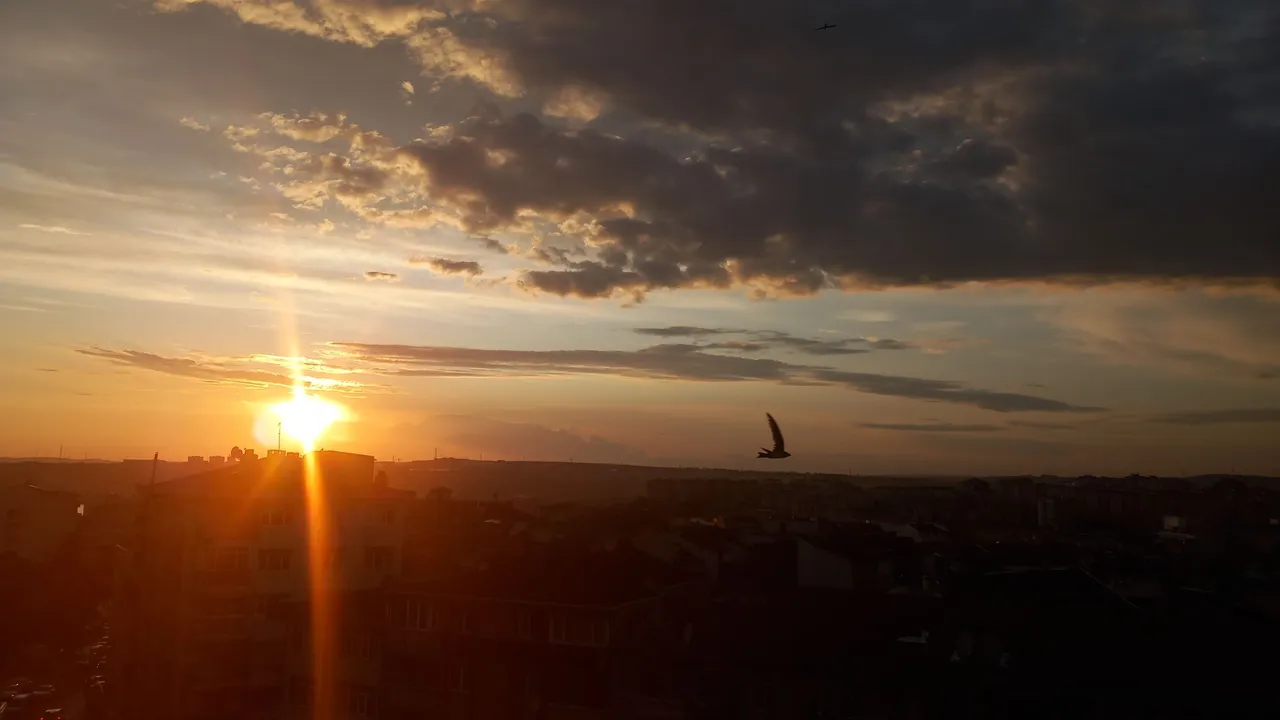 20230620_202109.jpg