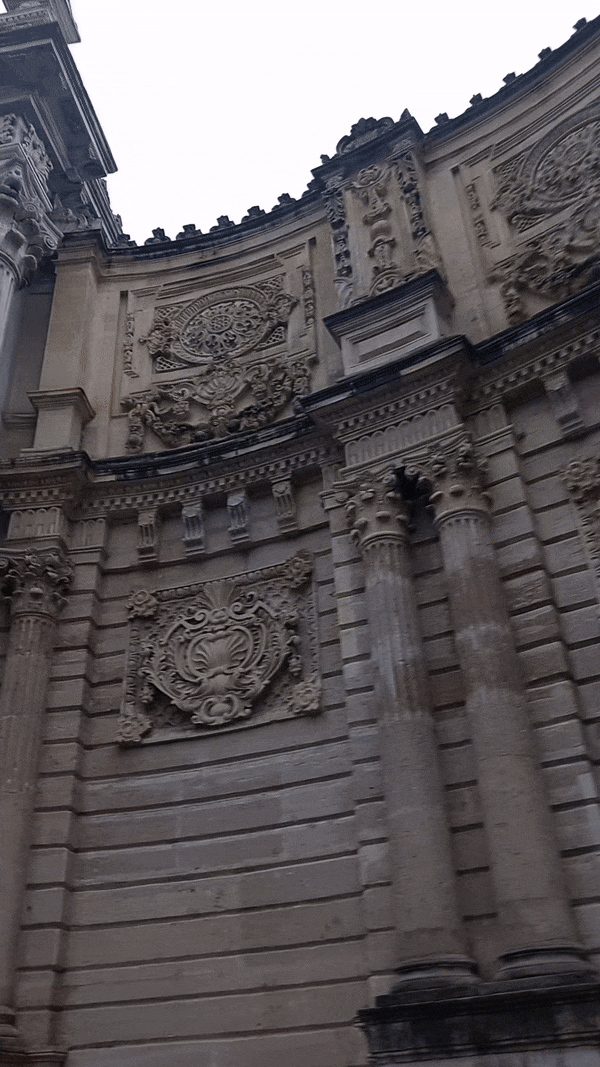 20240116_095448 gif (1).gif