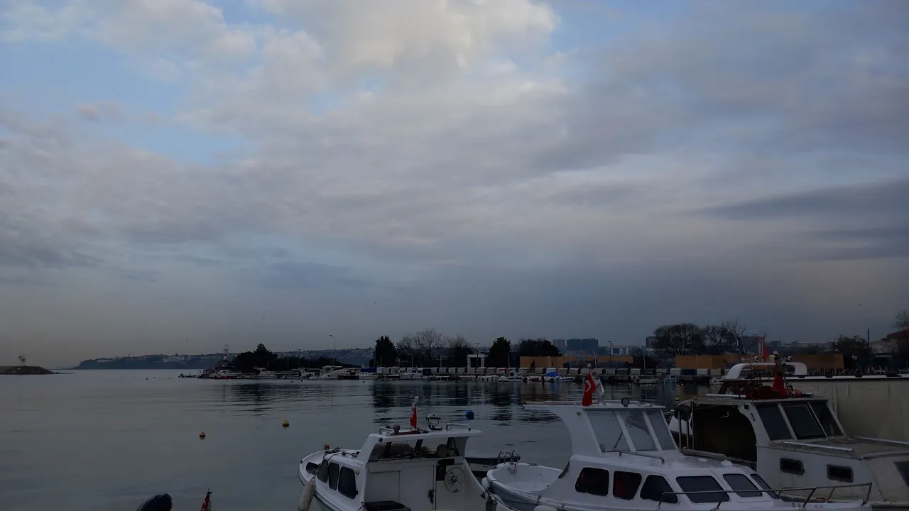 20240327_074457.jpg