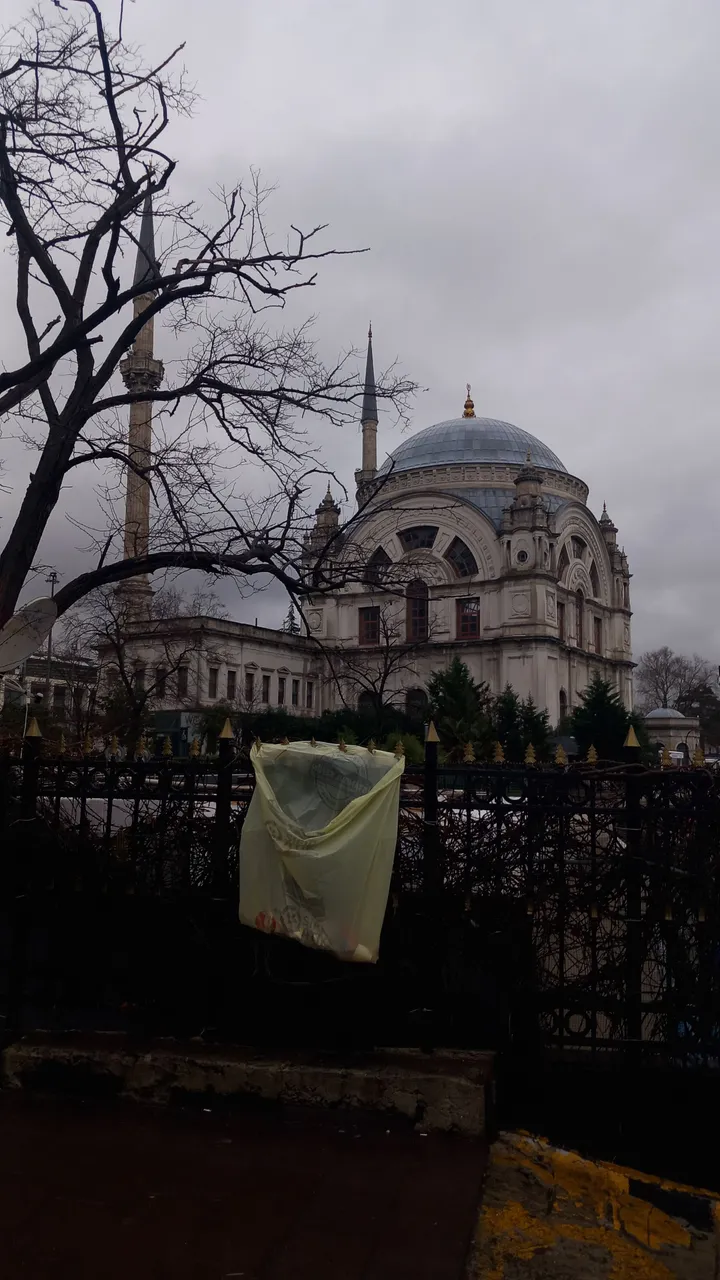 20240116_094554.jpg