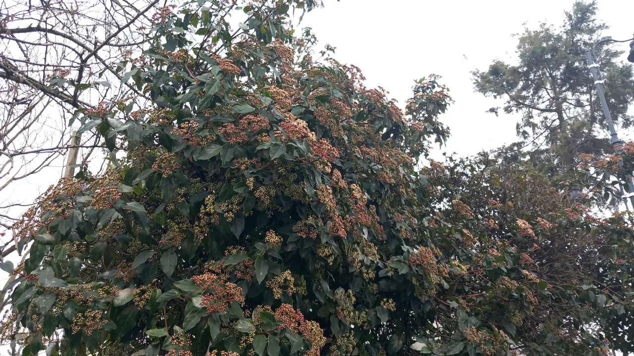 20240327_085249.jpg