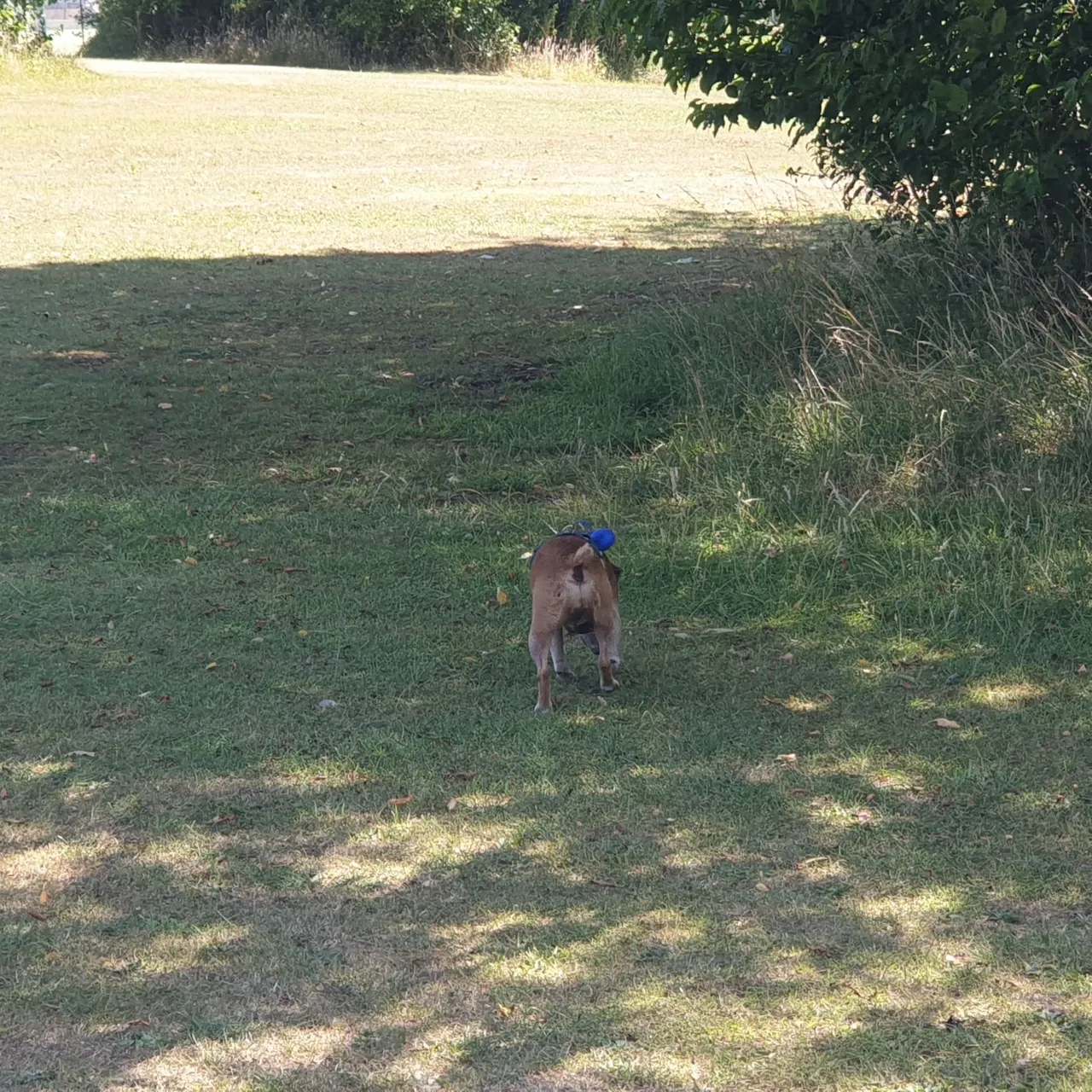 20250708_140932.jpg
