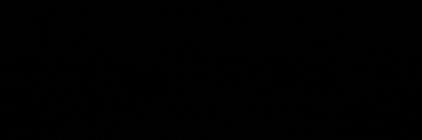 footer.gif