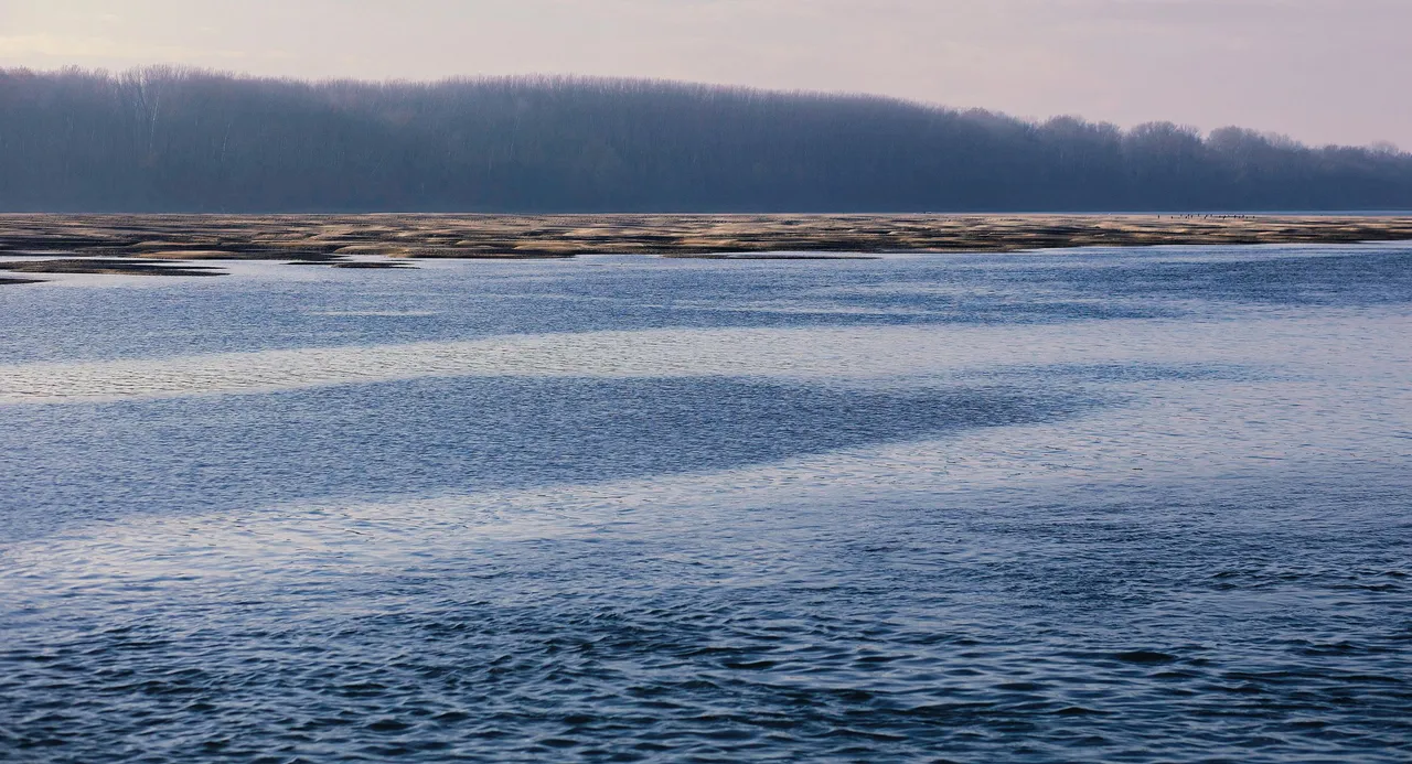Danube.jpg