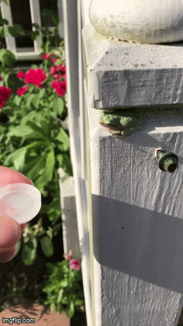 1000014894.gif
