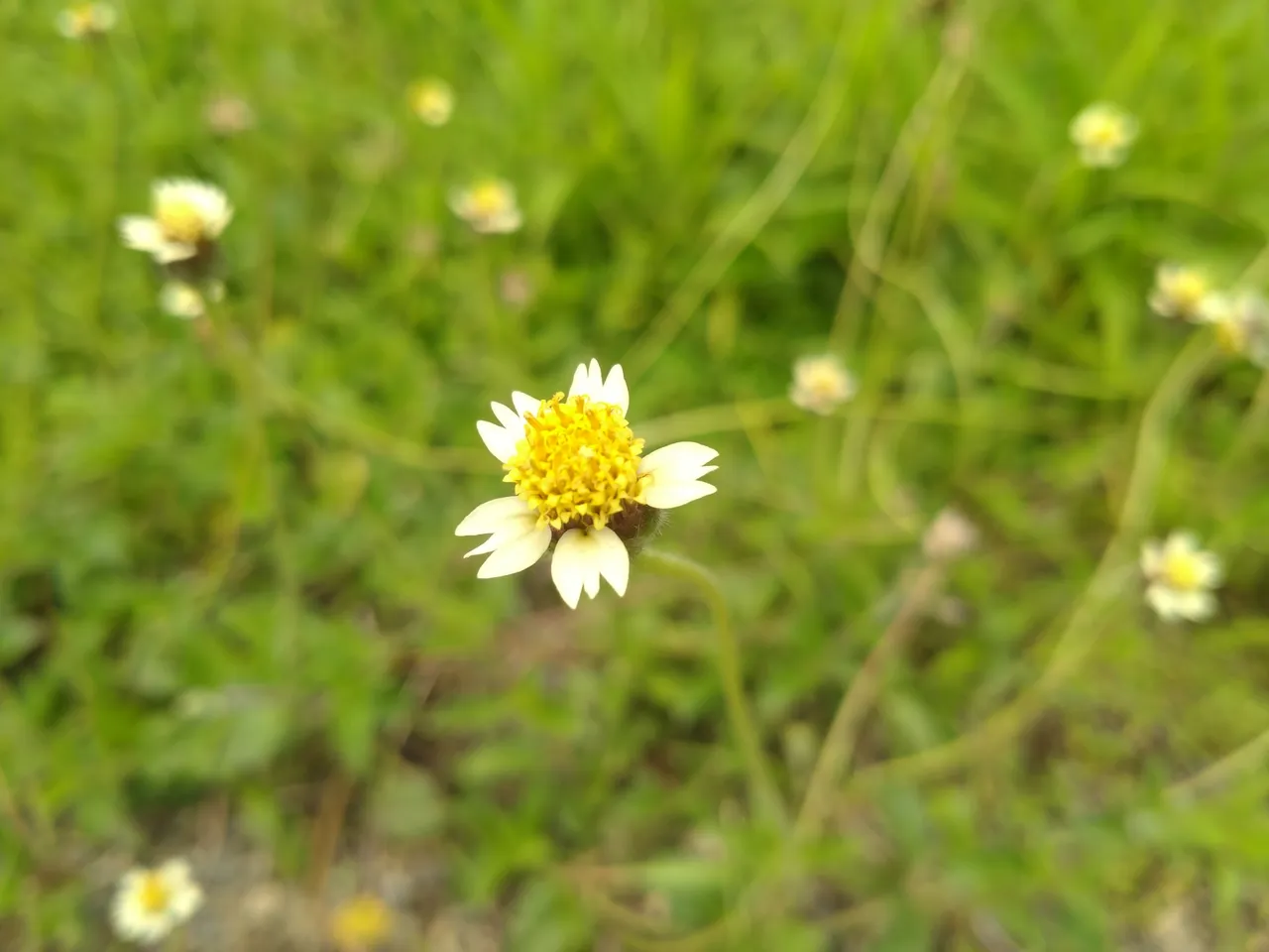 IMG20220930122025.jpg