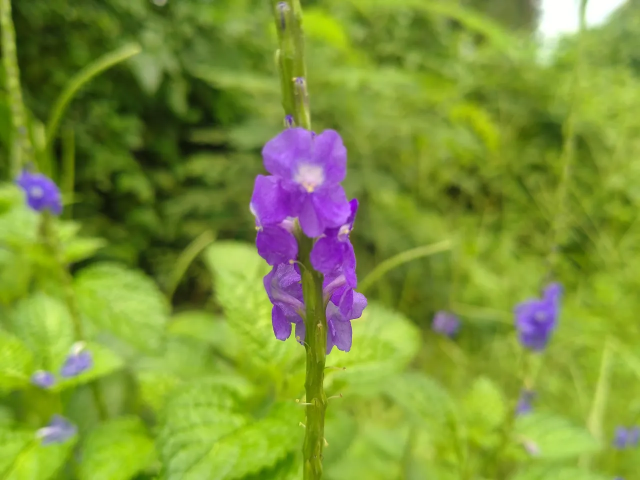 IMG20220930122201.jpg
