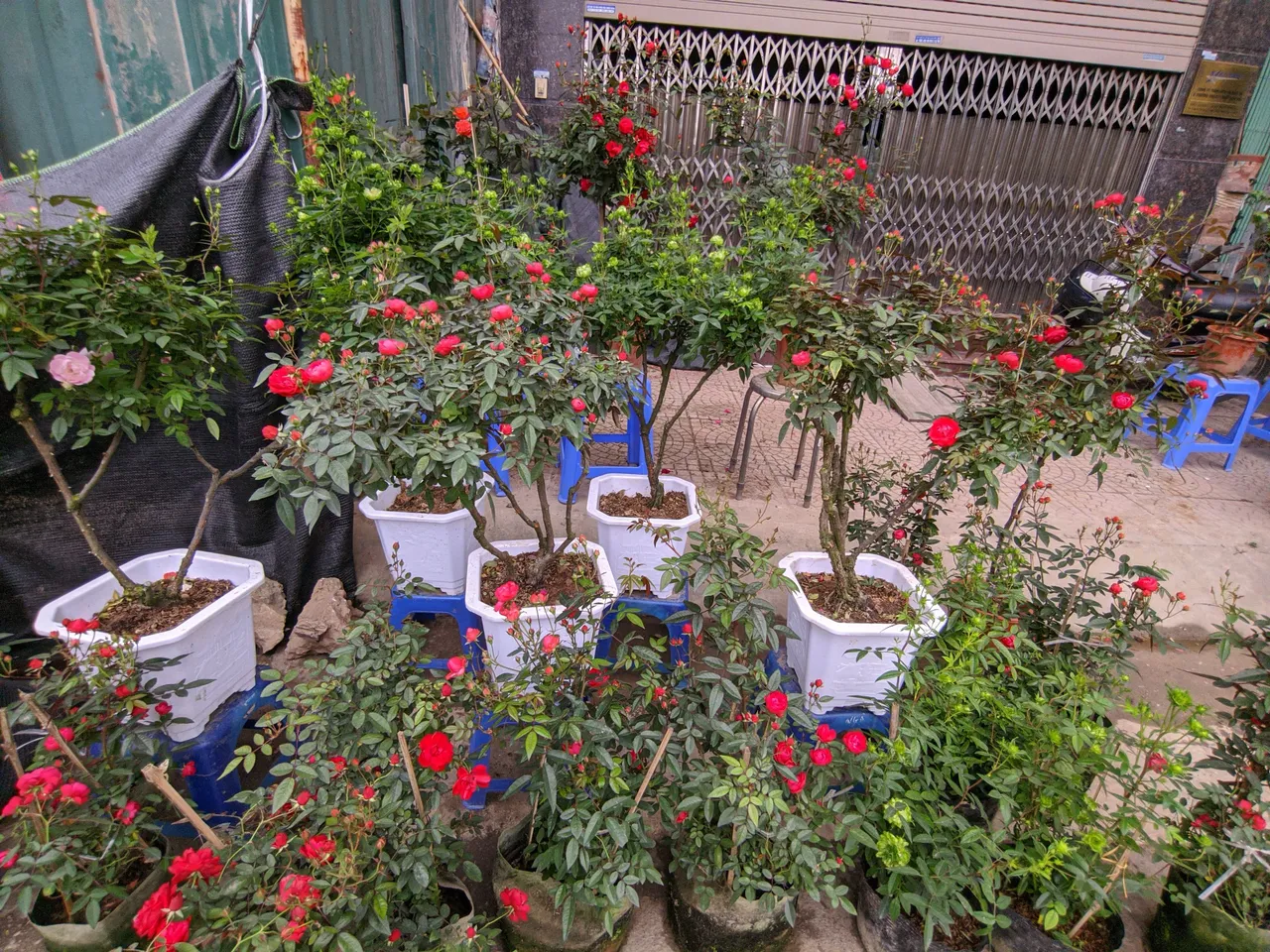 IMG_20220113_160657.jpg