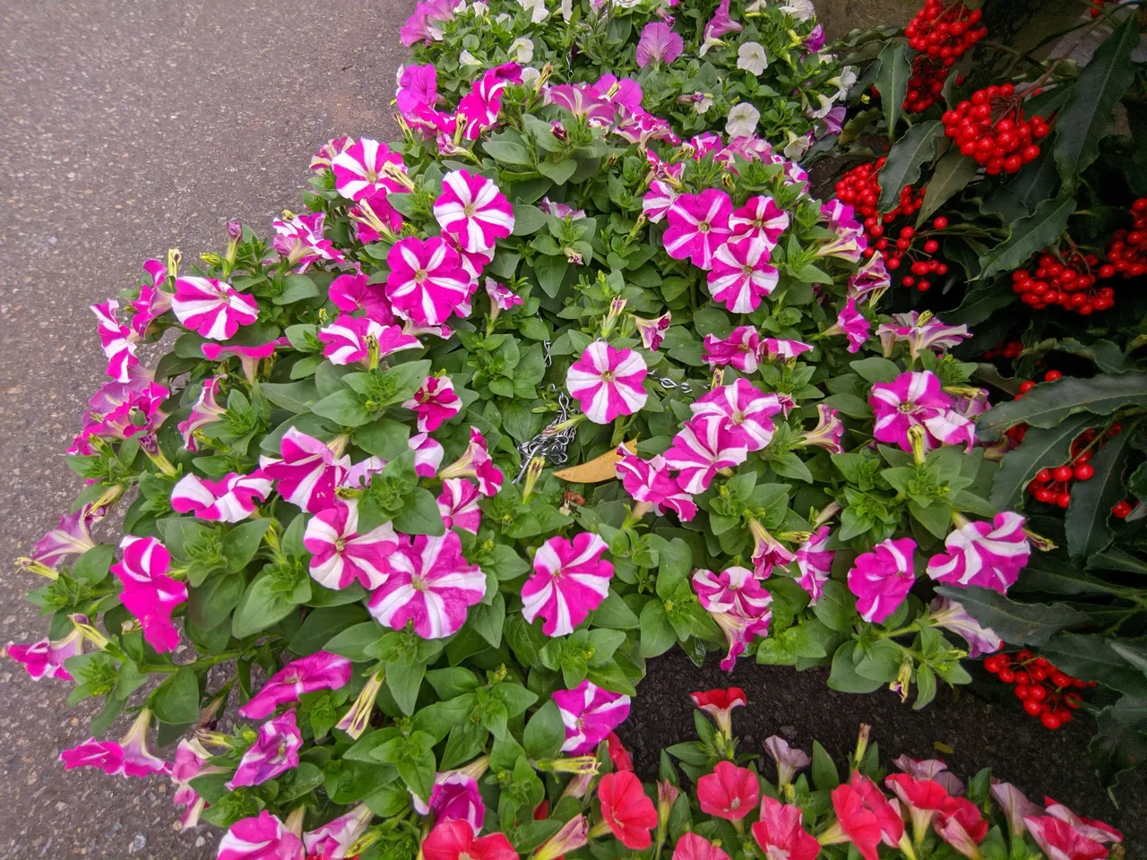 IMG_20220113_160255.jpg