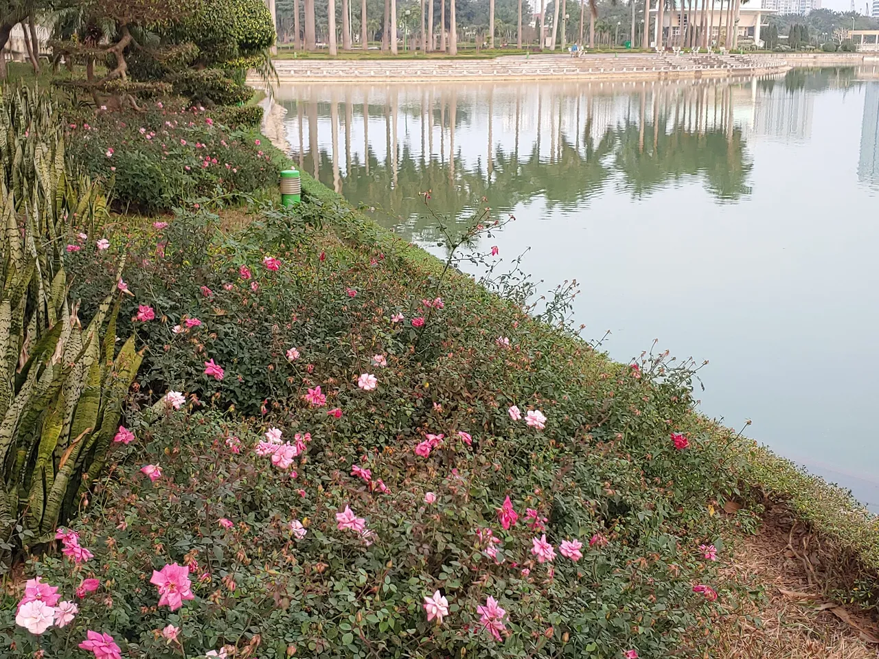 0104221641.jpg